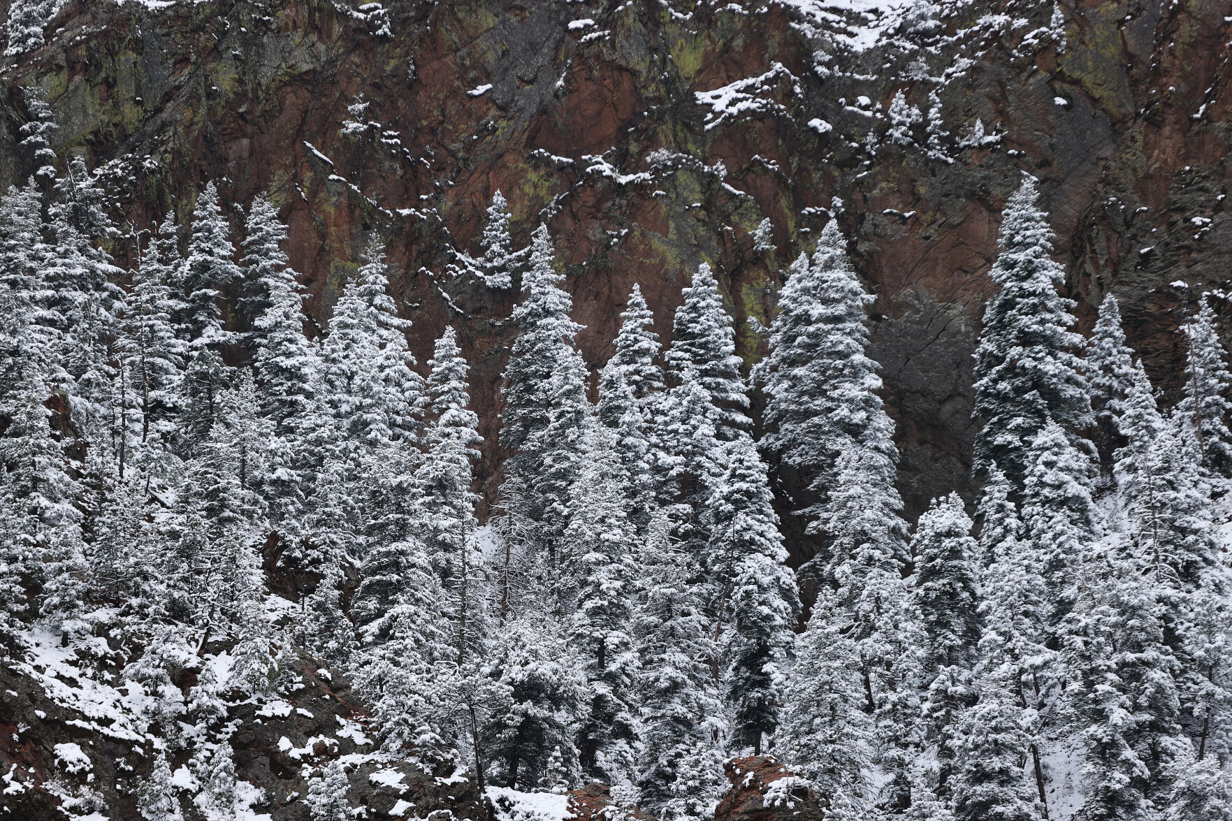 091020-news-snow 14.jpg